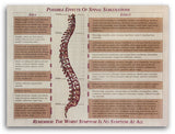 Possible Effects of Spinal Subluxations